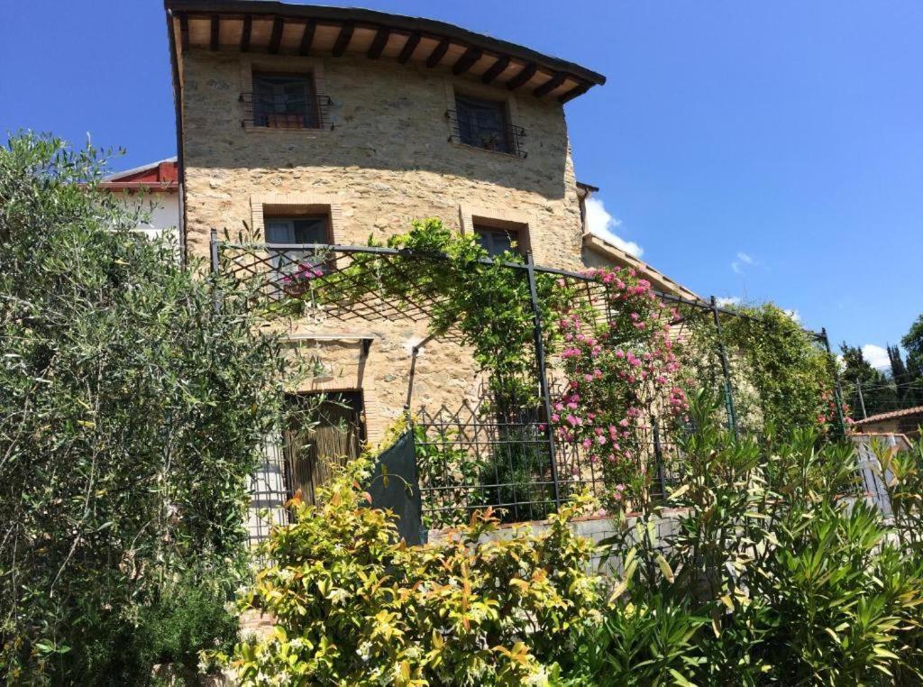 La Casina Delle Rondini Vendégház Corsanico-Bargecchia Kültér fotó