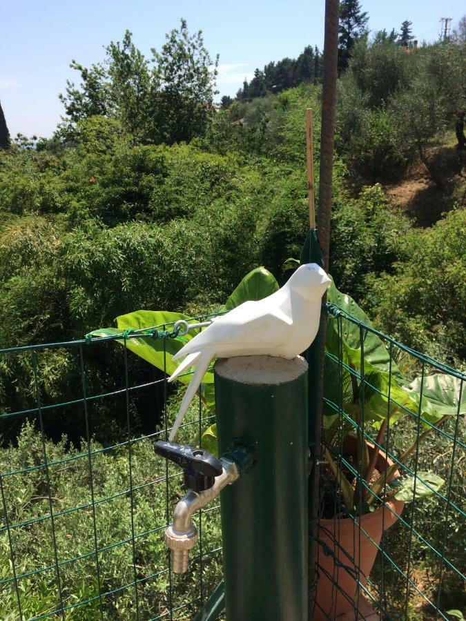 La Casina Delle Rondini Vendégház Corsanico-Bargecchia Kültér fotó