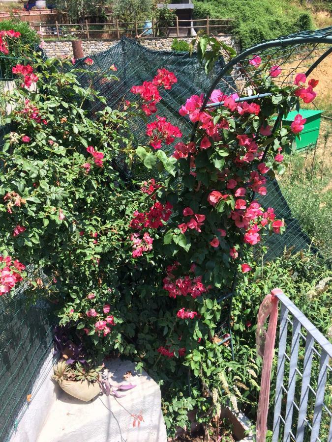 La Casina Delle Rondini Vendégház Corsanico-Bargecchia Kültér fotó
