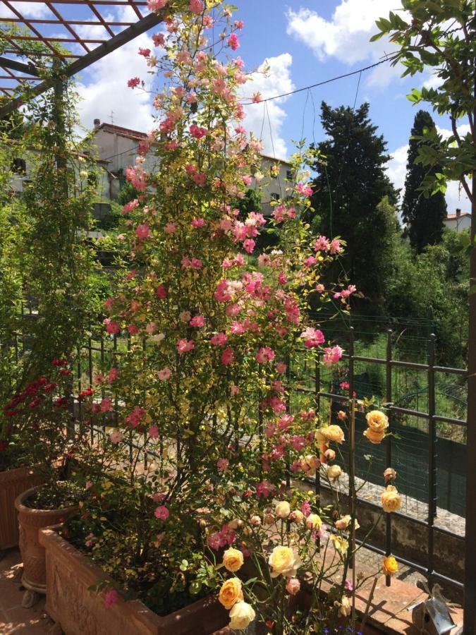 La Casina Delle Rondini Vendégház Corsanico-Bargecchia Kültér fotó