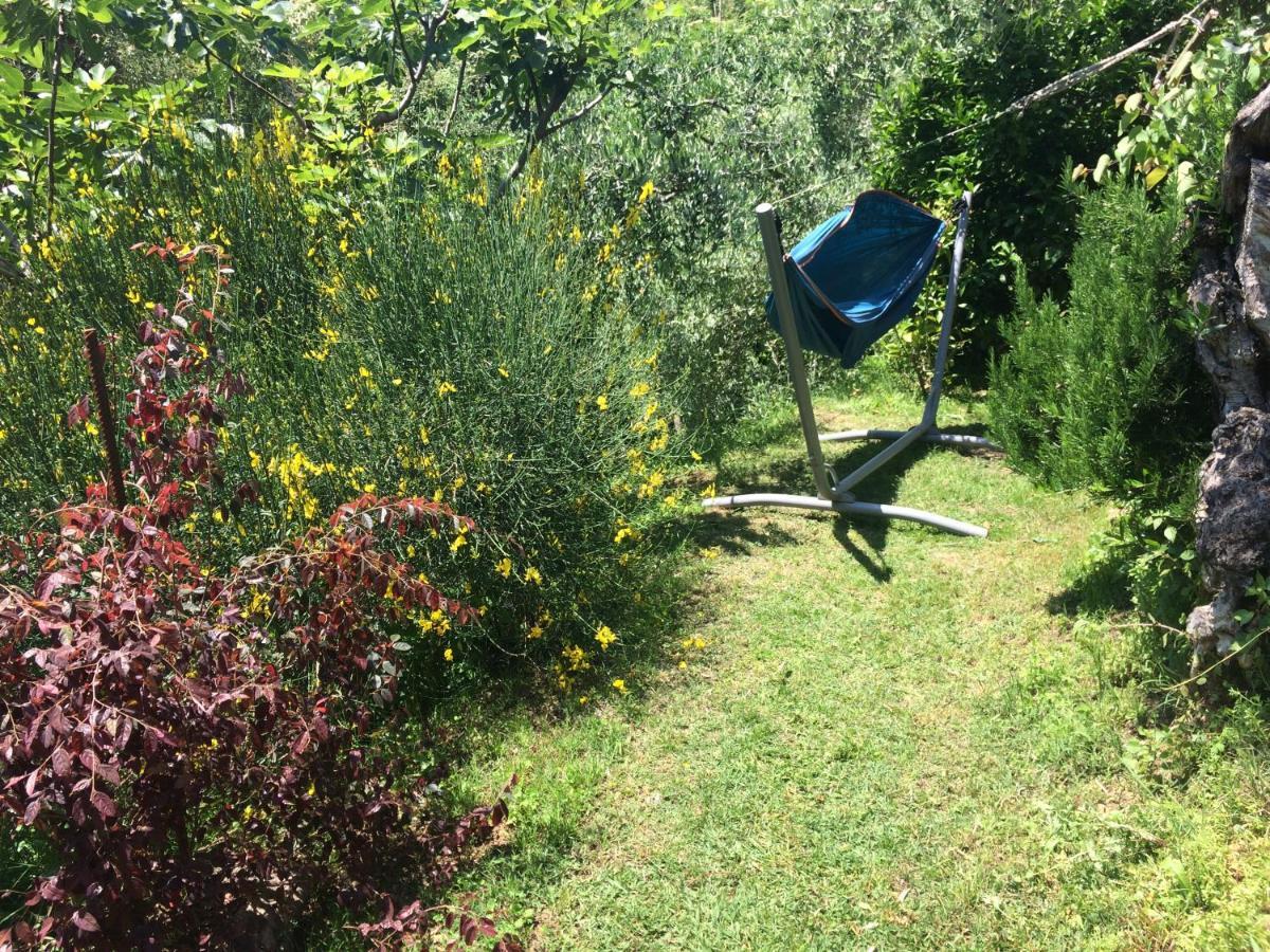 La Casina Delle Rondini Vendégház Corsanico-Bargecchia Kültér fotó